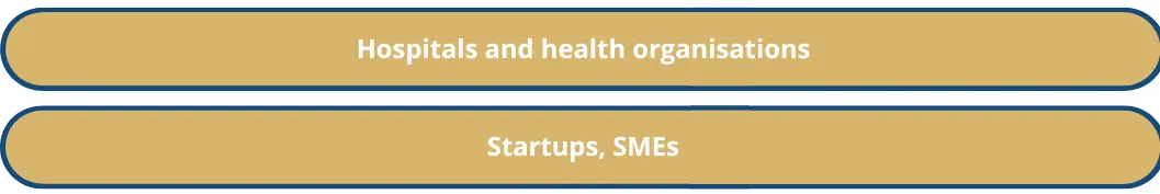 HealthLabs4Value target groups
