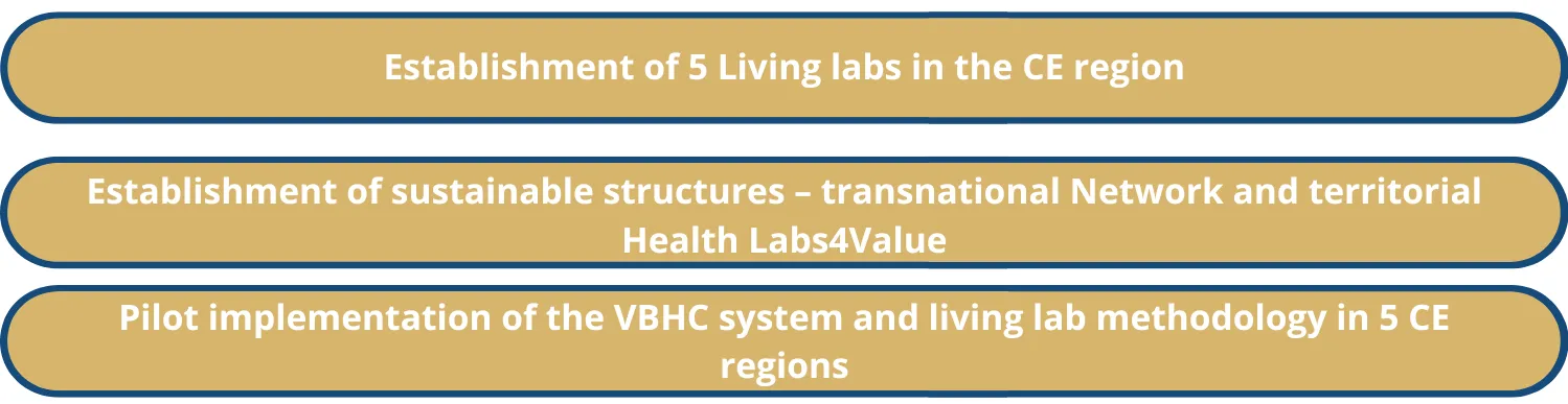 HealthLabs4Value expected outputs