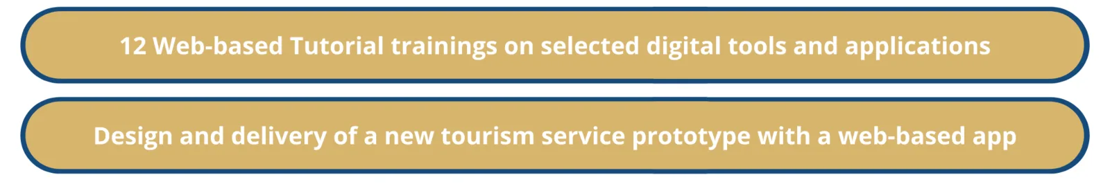 What are the project outputs?