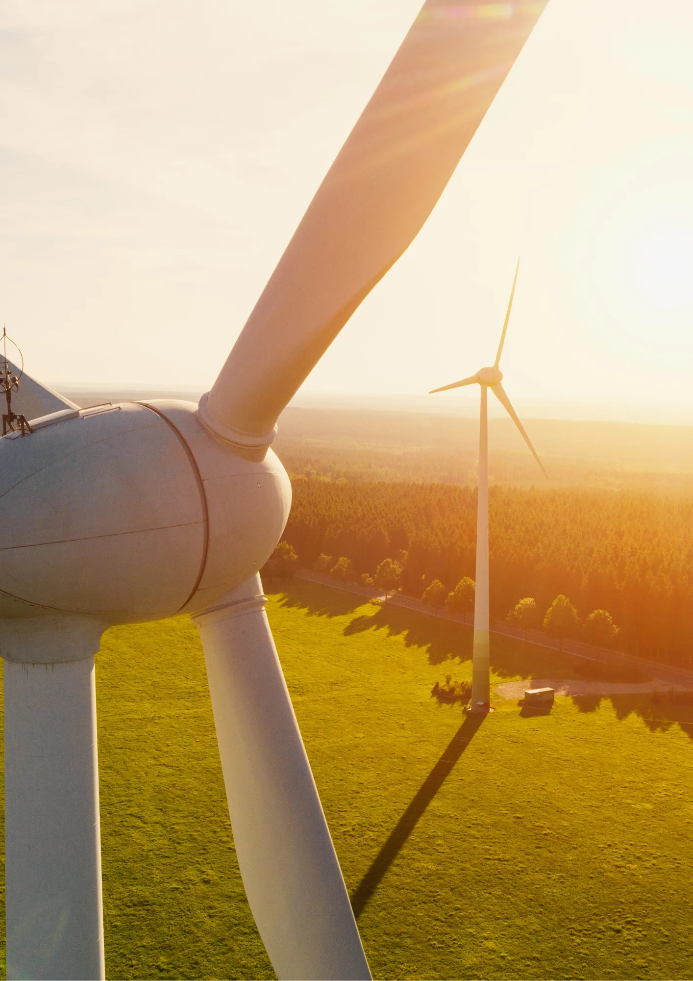Institutional efforts regarding the transition to green energy: one system or separate planetary countries?